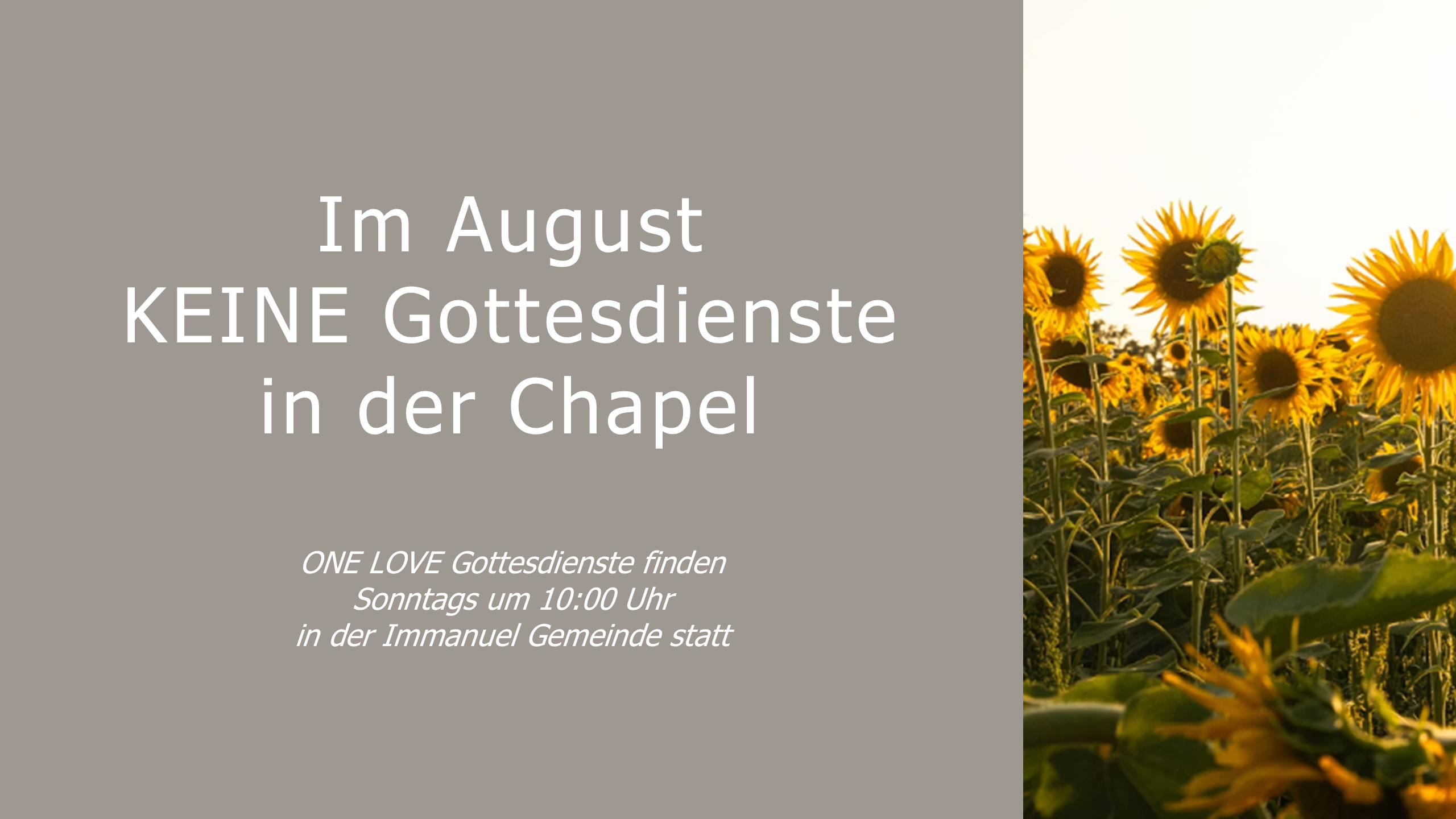 Im August keine Godis_Sonnenblume